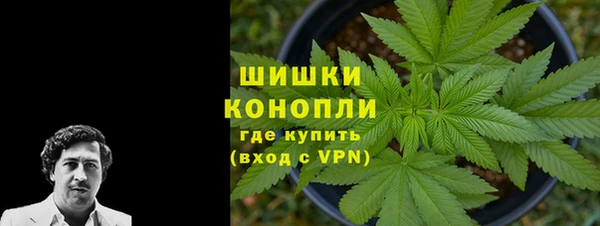 крисы Переславль-Залесский