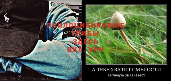 амфетамин Пестово