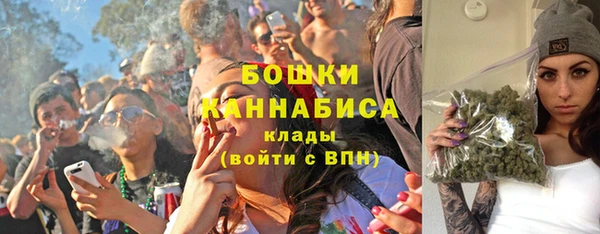 крисы Переславль-Залесский